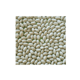Pattu Great Northern Beans